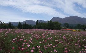ホテル 旅荘 ゆつぼ亭